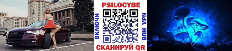 Галлюциногенные грибы прущие грибы  Когалым 